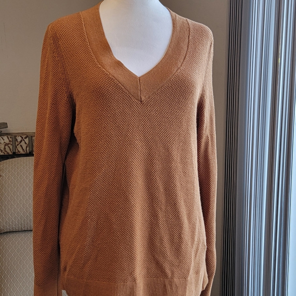 GAP Tan V-Neck Sweater